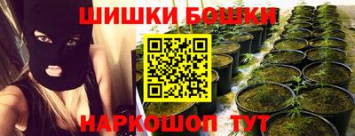jwh Будённовск