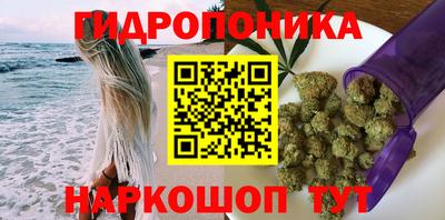jwh Будённовск