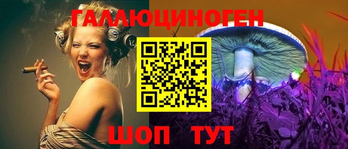 Галлюциногенные грибы Psilocybe  Псилоцибиновые грибы прущие грибы  купить   Одинцово  Вход с VPN 